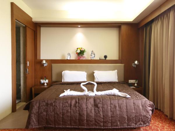 SilverCloud Hotel and Banquets : photo 1 de la chambre suite junior