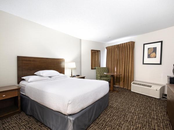 Ramada by Wyndham Kamloops : photo 1 de la chambre chambre lit queen-size - non-fumeurs