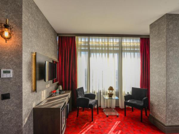 A11 Hotel Atasehir : photo 7 de la chambre chambre deluxe