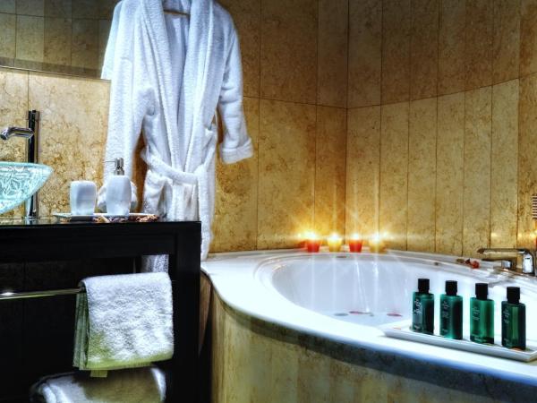 Civitas Suites Hotel : photo 3 de la chambre suite confort - vue sur atrium 