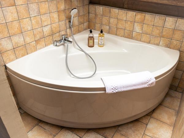 Hôtel et Chalet Au Coin Du Feu Chilly Powder : photo 1 de la chambre appartement supérieur