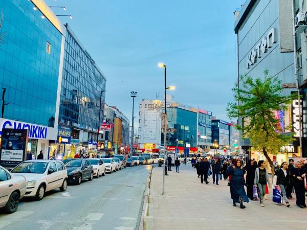 Gumus Palace Suites : photo 8 de la chambre suite