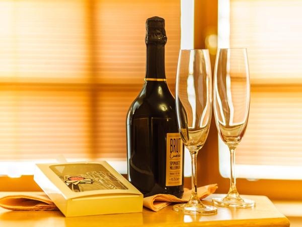 Penzion Lhotka : photo 7 de la chambre chambre double avec terrasse