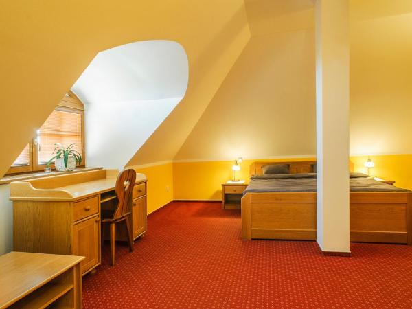 Penzion Lhotka : photo 2 de la chambre chambre double deluxe