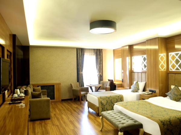 Gumus Palace Suites : photo 4 de la chambre grande chambre double 