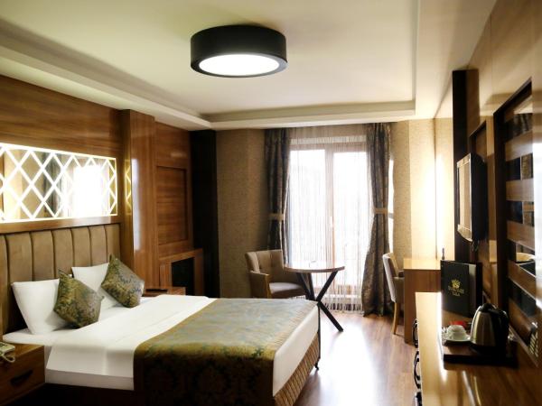 Gumus Palace Suites : photo 3 de la chambre grande chambre double 