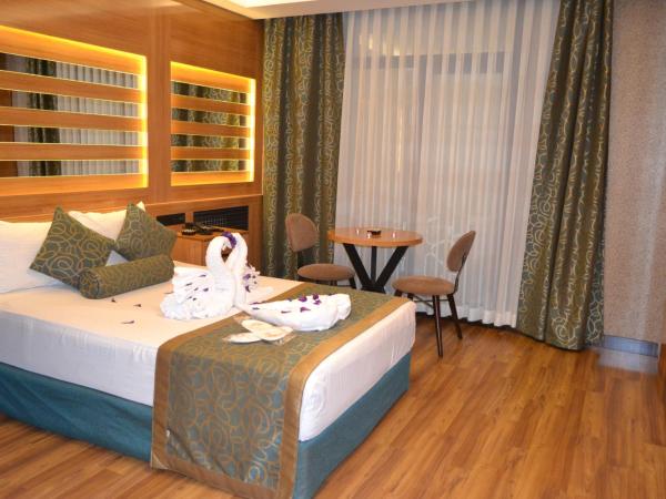 Gumus Palace Suites : photo 2 de la chambre grande chambre simple 