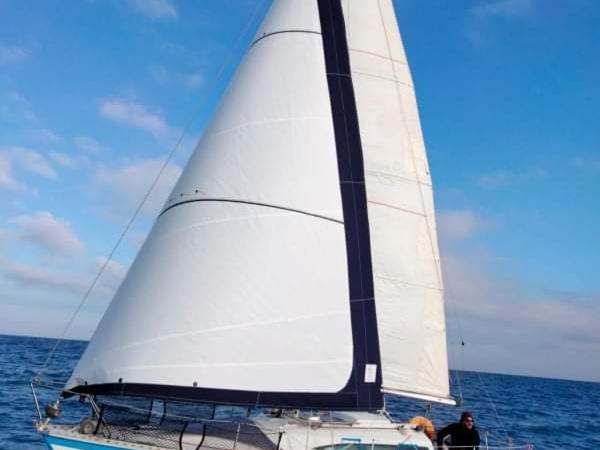 Nuit insolite à bord d'un voilier en plein centre ville de Sète Vue mont saint clair et Théâtre de la Mer Parking gratuit : photo 7 de la chambre cabine de bateau