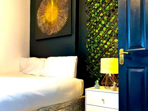 Duke and Duchess Apartments and Rooms - Private in Room Hot Tub Suites : photo 1 de la chambre chambre double deluxe