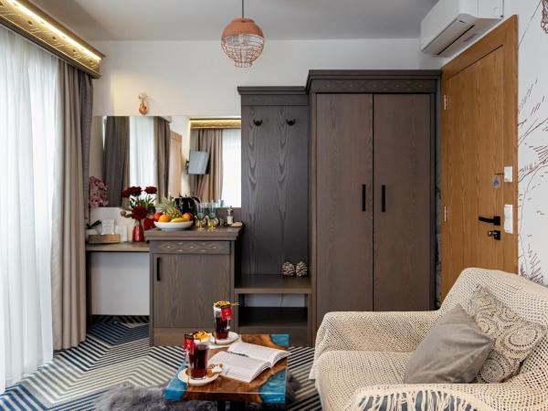 Serce Tatr Residence Zakopane - blisko Krupówek : photo 6 de la chambre chambre double supérieure avec terrasse