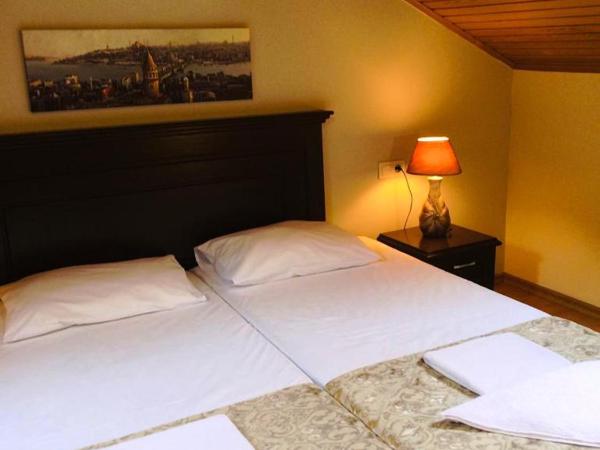 Emirhan Hotel, Sultanahmet : photo 1 de la chambre chambre lits jumeaux Économique