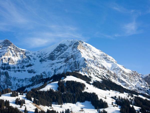 Chalet-Hotel Beau-Site : photo 1 de la chambre chambre lits jumeaux - vue sur montagne