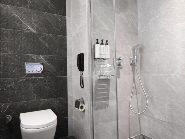 Crowne Plaza Ankara, an IHG Hotel : photo 5 de la chambre chambre premium 