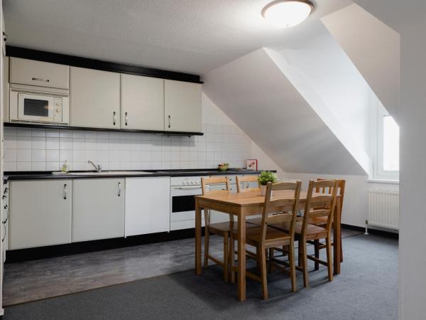 Penzion Dvořákova : photo 6 de la chambre appartement 2 chambres (5 adultes)