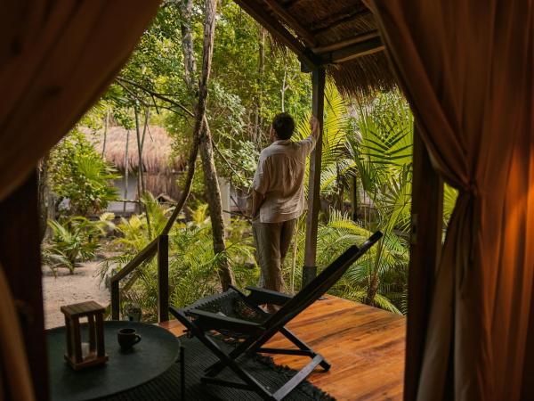 Our Habitas Tulum : photo 3 de la chambre hébergement double jungle 