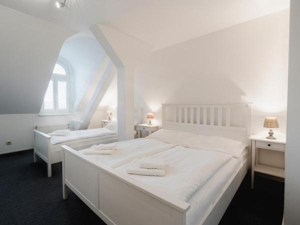 Penzion Dvořákova : photo 1 de la chambre appartement 2 chambres (5 adultes)