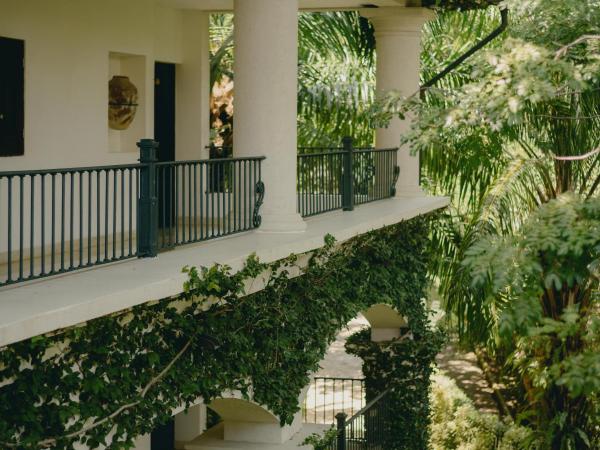 Casa Colonial Beach & Spa : photo 7 de la chambre suite junior supérieure avec vue sur le jardin