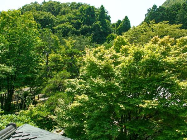 Shaga-no-Sato Yumeya : photo 5 de la chambre chambre lits jumeaux - vue sur jardin