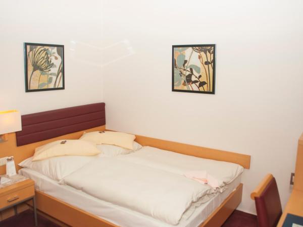 Hotel zum Adler - Superior : photo 3 de la chambre chambre simple affaires