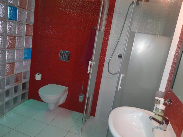 Apartamenty i pokoje gościnne Nowita : photo 6 de la chambre chambre double supérieure avec salle de bains