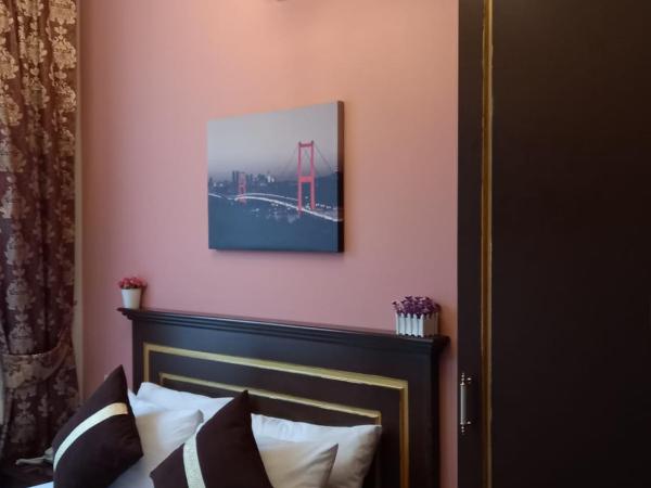Emirhan Hotel, Sultanahmet : photo 3 de la chambre chambre simple Économique