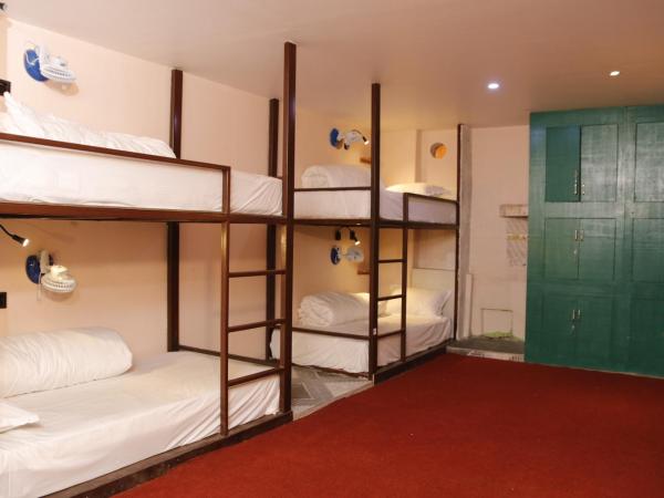 Hostel The Good Earth Pvt. Ltd. : photo 2 de la chambre dortoir mixte de 6 lits