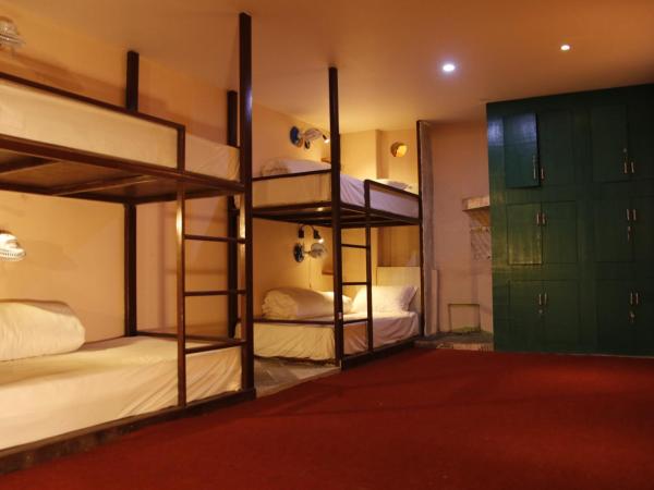 Hostel The Good Earth Pvt. Ltd. : photo 3 de la chambre dortoir mixte de 6 lits