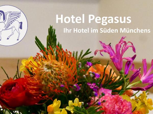 Hotel Pegasus : photo 8 de la chambre chambre simple