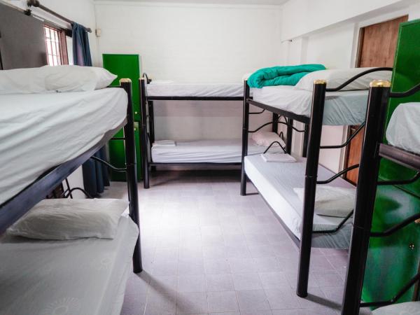 Clover Hostel : photo 1 de la chambre lit dans dortoir mixte de 8 lits