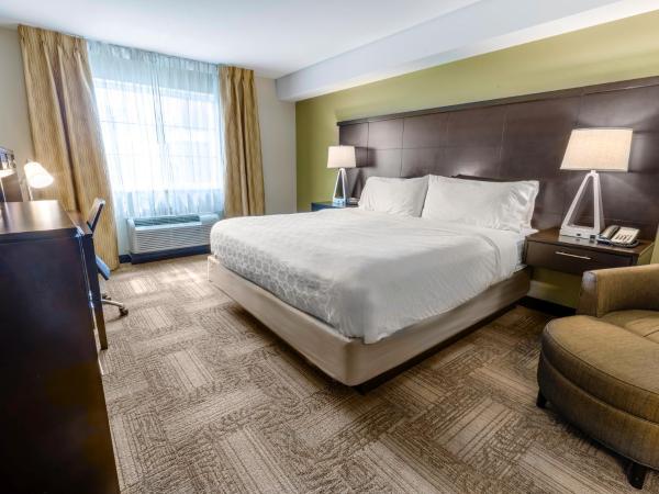 Staybridge Suites West Edmonton, an IHG Hotel : photo 5 de la chambre suite 1 chambre lit king-size avec canapé-lit