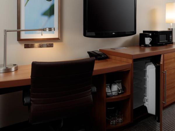 Hyatt Place New Orleans Convention Center : photo 3 de la chambre chambre lit king-size avec canapé-lit - Étage supérieur