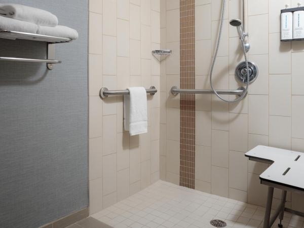 Hyatt Place New Orleans Convention Center : photo 3 de la chambre chambre lit king-size avec canapé-lit et douche accessible en fauteuil roulant - accessible aux personnes à mobilité réduite