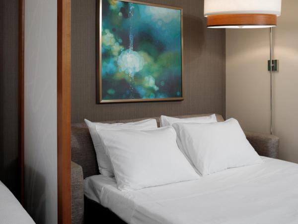 Hyatt Place New Orleans Convention Center : photo 4 de la chambre chambre lit king-size avec canapé-lit - Étage supérieur