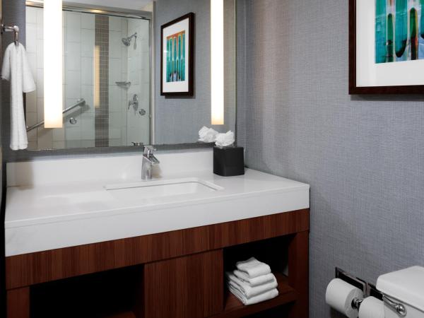 Hyatt Place New Orleans Convention Center : photo 5 de la chambre chambre lit king-size avec canapé-lit - Étage supérieur