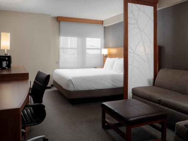 Hyatt Place New Orleans Convention Center : photo 1 de la chambre chambre lit king-size avec canapé-lit - Étage supérieur