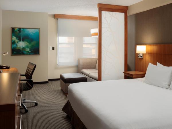 Hyatt Place New Orleans Convention Center : photo 1 de la chambre chambre lit king-size avec canapé-lit et douche accessible en fauteuil roulant - accessible aux personnes à mobilité réduite