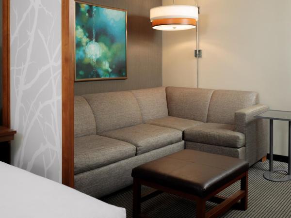 Hyatt Place New Orleans Convention Center : photo 2 de la chambre chambre lit king-size avec canapé-lit - Étage supérieur