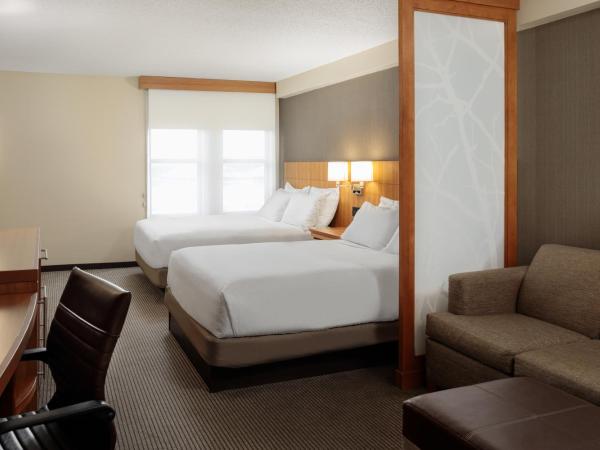 Hyatt Place New Orleans Convention Center : photo 3 de la chambre chambre avec 2 lits queen-size et canapé-lit - Étage supérieur