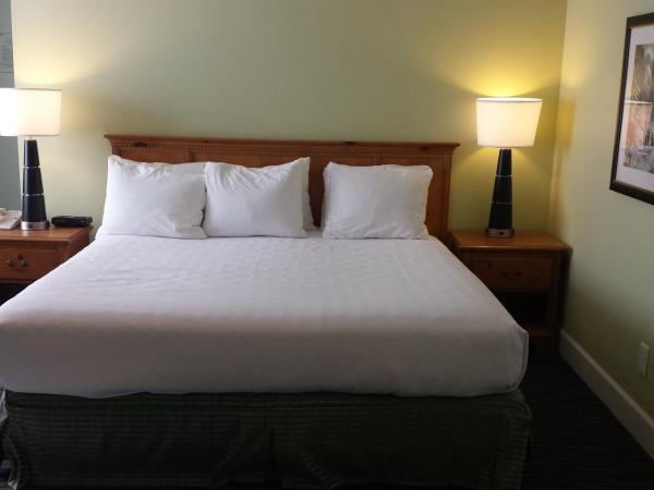 The University Inn at Emory : photo 2 de la chambre chambre lit king-size de luxe avec baignoire privée