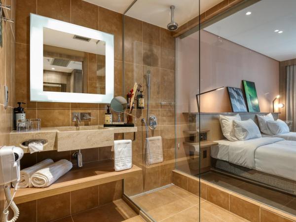 Novotel BH Savassi : photo 8 de la chambre chambre lits jumeaux supérieure - non-fumeurs