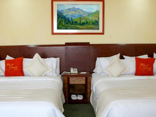 Hotel Real del Sur : photo 3 de la chambre suite supérieure