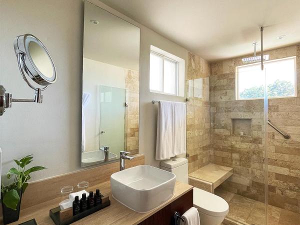 The Villas Cancun by Grand Park Royal - All Inclusive : photo 9 de la chambre villa suite junior avec petite piscine