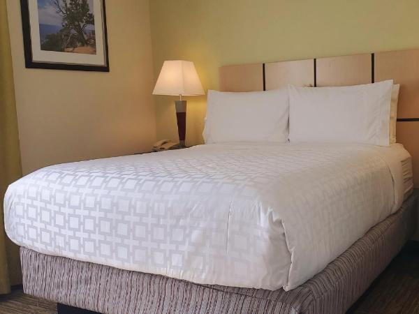 Candlewood Suites Houston Medical Center, an IHG Hotel : photo 9 de la chambre one-bedroom queen room with mobility accessible tub - non-smoking