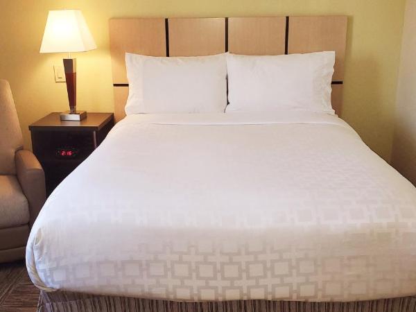 Candlewood Suites Houston Medical Center, an IHG Hotel : photo 7 de la chambre studio lit queen-size - accessible aux personnes à mobilité réduite