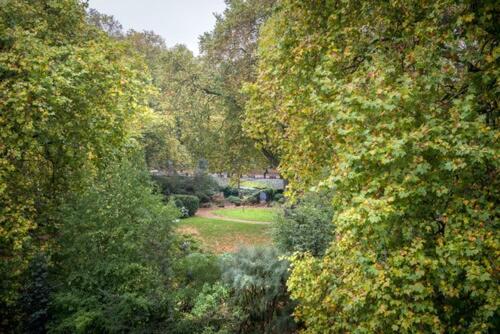 The Goodenough Hotel London : photo 7 de la chambre chambre simple - vue sur jardin