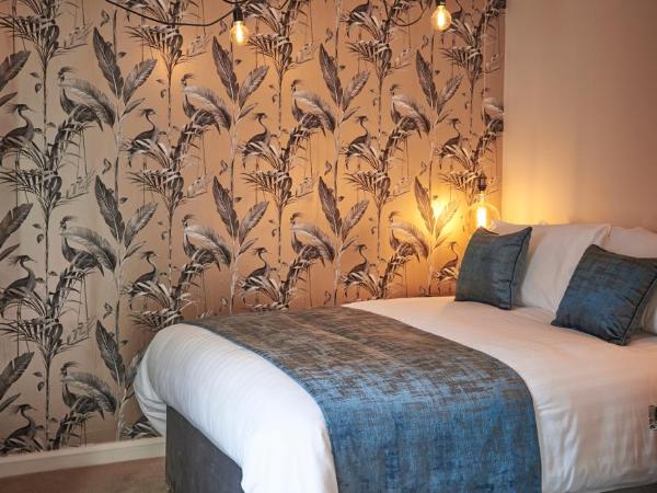 Home @ 2 Tancred Road : photo 2 de la chambre chambre double avec salle de bains privative