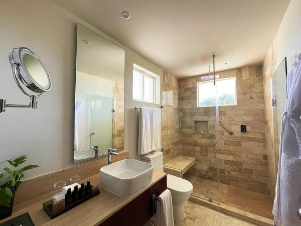 Grand Park Royal Cancun - All Inclusive : photo 5 de la chambre villa suite junior avec petite piscine