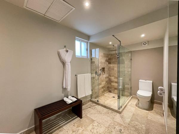 Grand Park Royal Cancun - All Inclusive : photo 8 de la chambre villa suite master avec petite piscine