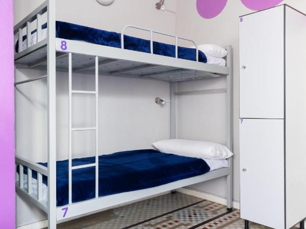 Purple Nest Hostel : photo 6 de la chambre 1 lit dans un dortoir mixte de 8 lits