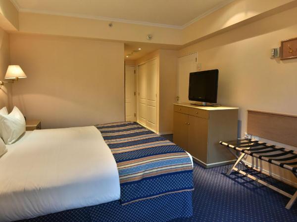 Holiday Inn Cordoba, an IHG Hotel : photo 7 de la chambre chambre lit king-size standard - fumeurs
